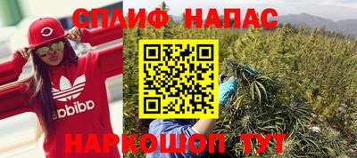 гидра Краснокаменск