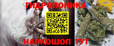 гидра Краснокаменск