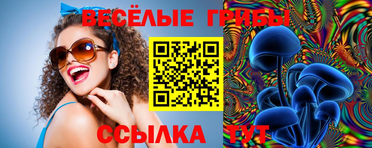 Псилоцибиновые грибы Psilocybe Жуковский